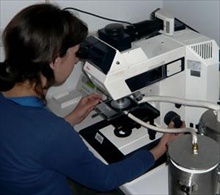 A researcher at Leiden University Medical School using the Linkam freezing stage to look at fluorescently labelled bacteria at liquid nitrogen temperature for correlative light electron microscopy